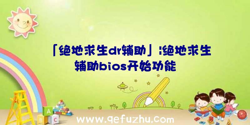 「绝地求生dr辅助」|绝地求生辅助bios开始功能